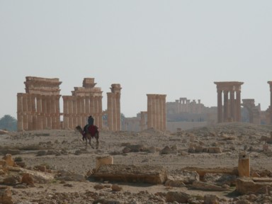 パルミラ遺跡の荒野に佇む古代の遺構