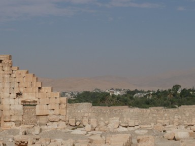 砂漠の中に緑があふれるパルミラの町