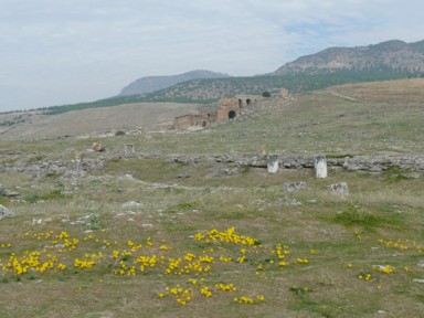 パムッカレの周りの広大な草原にところどころ残る崩れかけた遺跡