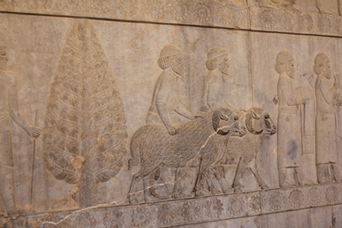 羊を扱う民族が描かれたレリーフのペルセポリス