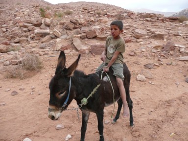 ロバに乗る少年