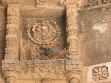 鳩の歴史が積もる使われなくなった遺跡。