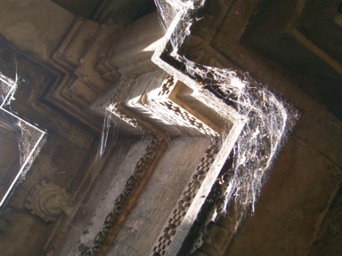 遺跡の中で見つけた芸術的な蜘蛛の巣。