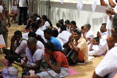 聖なる樹の下で祈る人々の姿