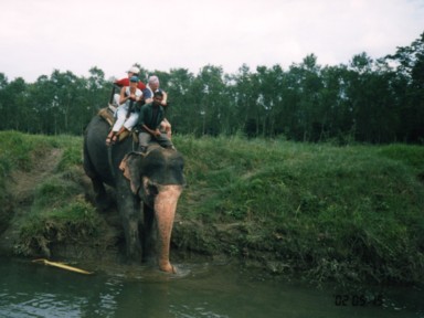 蒸し暑いジャングルの中で汗ばむ旅人