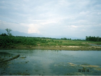 再会を誓うサイとの出会い