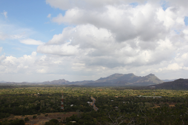 日向と日陰が静かに切り替わる瞬間