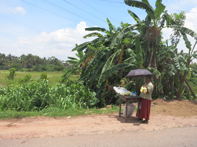 車窓から見える異国の里山風景