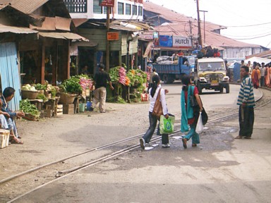 山道の車道を何度も交差するミニトレインの線路