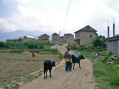 村のバス停で迷いながら物語を見つける旅人