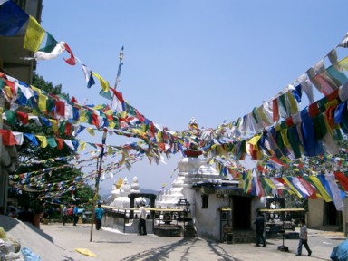 チベット仏教の旗が風に揺れる風景