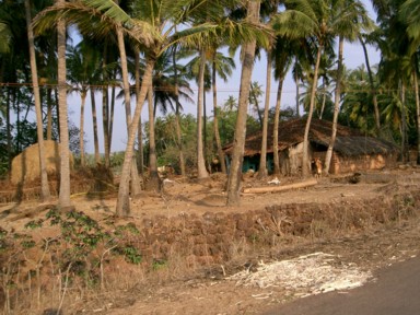 ゴアの田舎の藁ぶき屋根の素朴な家