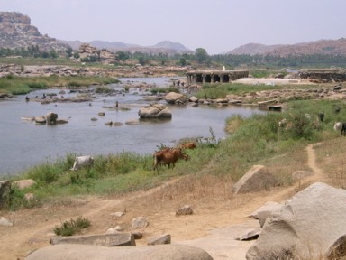 トゥンガバドラー川で川遊びの少年たちとノラ牛と遺跡