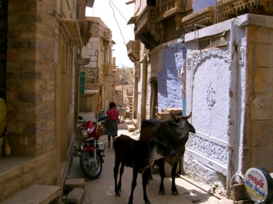 ジャイサルメールの城内の野良牛も歩く幻想的な路地裏の風景