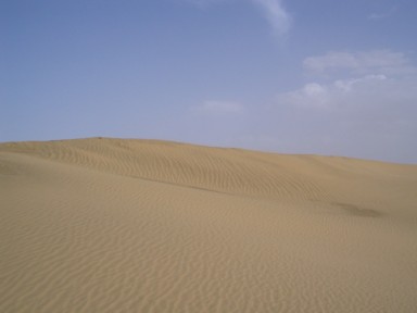 サム砂丘の砂に流れる風紋