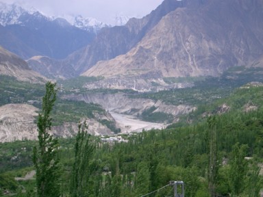 春に咲き乱れるアンズの花と食文化