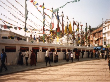 巡礼中のチベット人女性の後ろ姿