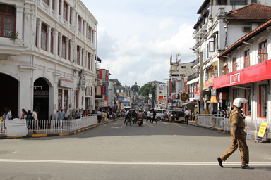 本場で味わうセイロンティーのひととき