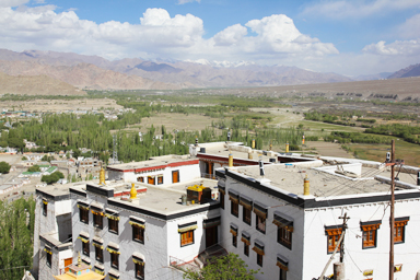 スピトゥクゴンパから眺めるポプラの木が点在する大地