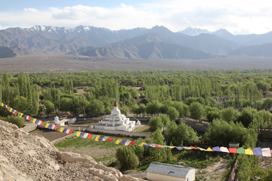 シェイ寺から眺めるポプラの木や山々の景色