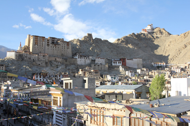 レーの王宮と山がそびえる町