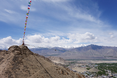 谷を抜ける風が心地よいレーの大自然の光景