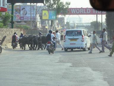 生と死の境が近い国で感じる生きている実感。