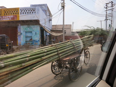 おいしさと飽きの狭間で揺れるカレー三昧の日々。