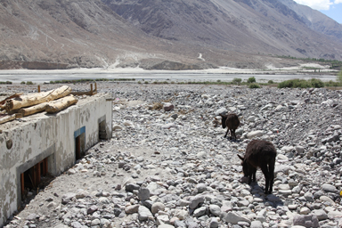 土石流の跡を残す小さな村の景色