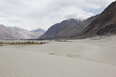 波紋が入るヌブラの白砂丘