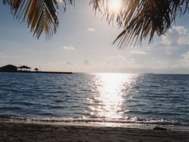 片栗粉のような砂浜で裸足で踊るひととき