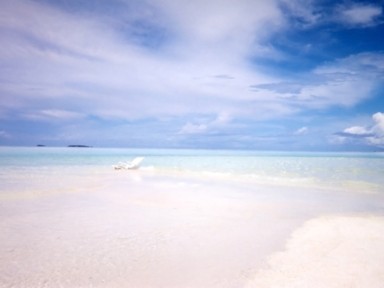 夢と現実が揺れるような海辺の時間