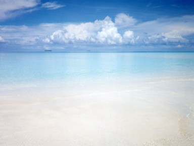 モルディブの海と白砂のコントラスト