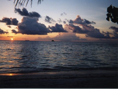 恋しくなる今日の太陽とそのぬくもり