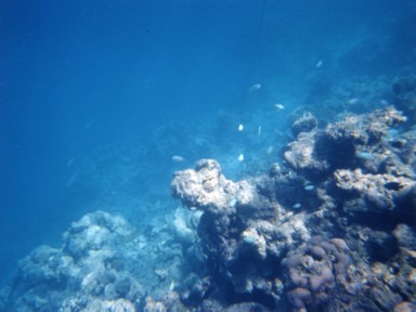 初めてのシュノーケリングで未知の世界へ