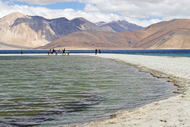 パンゴン湖の湖畔で馬の背に揺れる光景