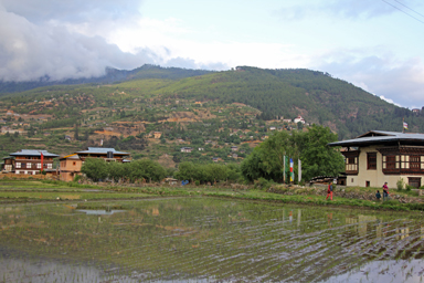 シンプルな暮らしの中にある本質