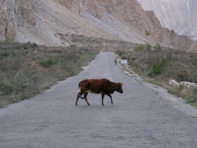 車が通れない奥地の道路の風景