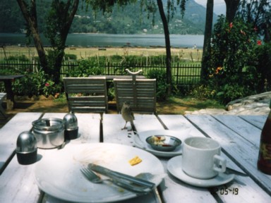 湖のほとりにあるレストランのテラス席