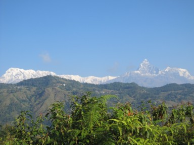 自然の中で笑顔を見せる人々