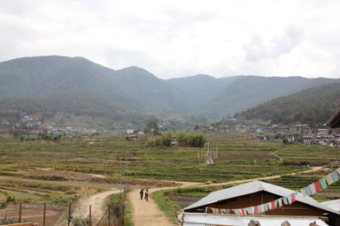 平和と日常の対比
