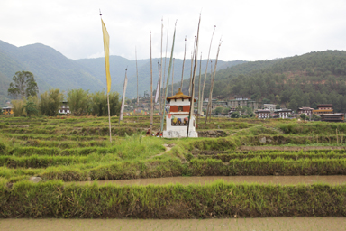 祠から生まれる優しさ