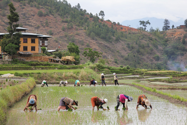 助け合いの大切さを感じる