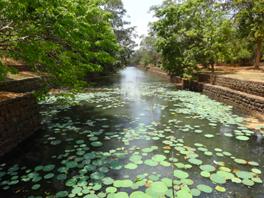 1500年の時を経た岩山と自然の融合