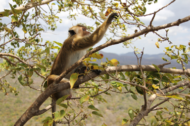 今も残る王宮の番人のような存在