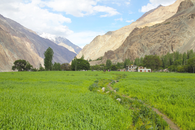 トゥルトゥクの素朴な畑と山々の見どころの景色