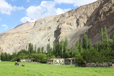 トゥルトゥクの緑になった一面の畑と高い山
