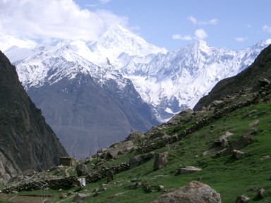 ウルタルメドウの牧草地と羊たち