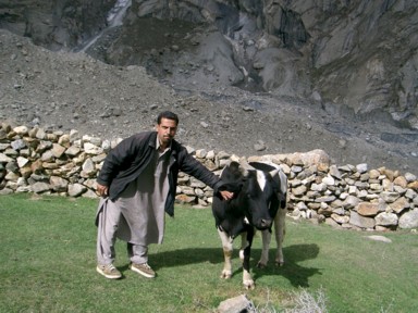 乳牛の匂いが心地よく感じる牧場の風景