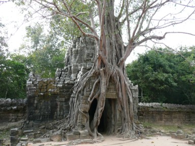 門に根を張った木が美しいタ・ソムの遺跡